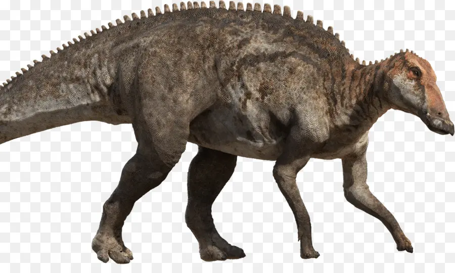 Tyrannosaurus，Cretaceous Akhir PNG
