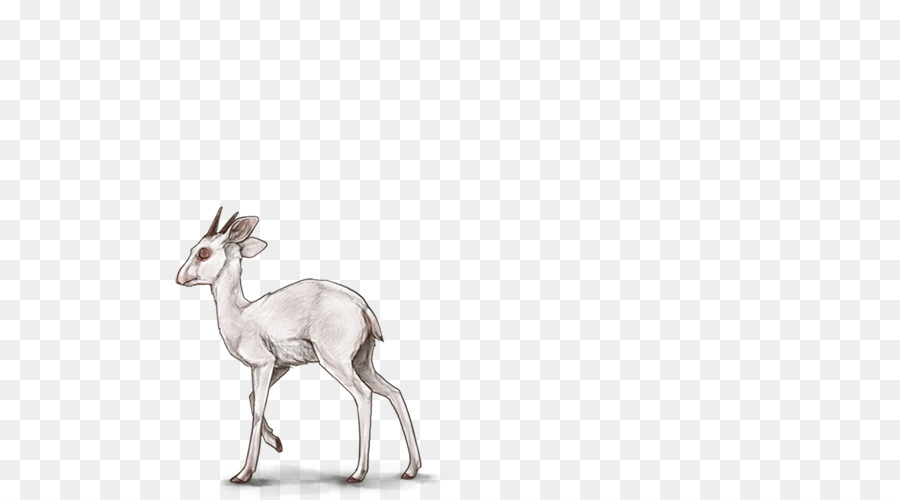 Antelope，Rusa PNG
