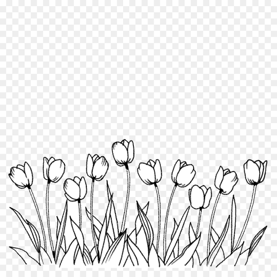 Mewarnai Bunga Tulip Kumpulan Contoh Soal 1