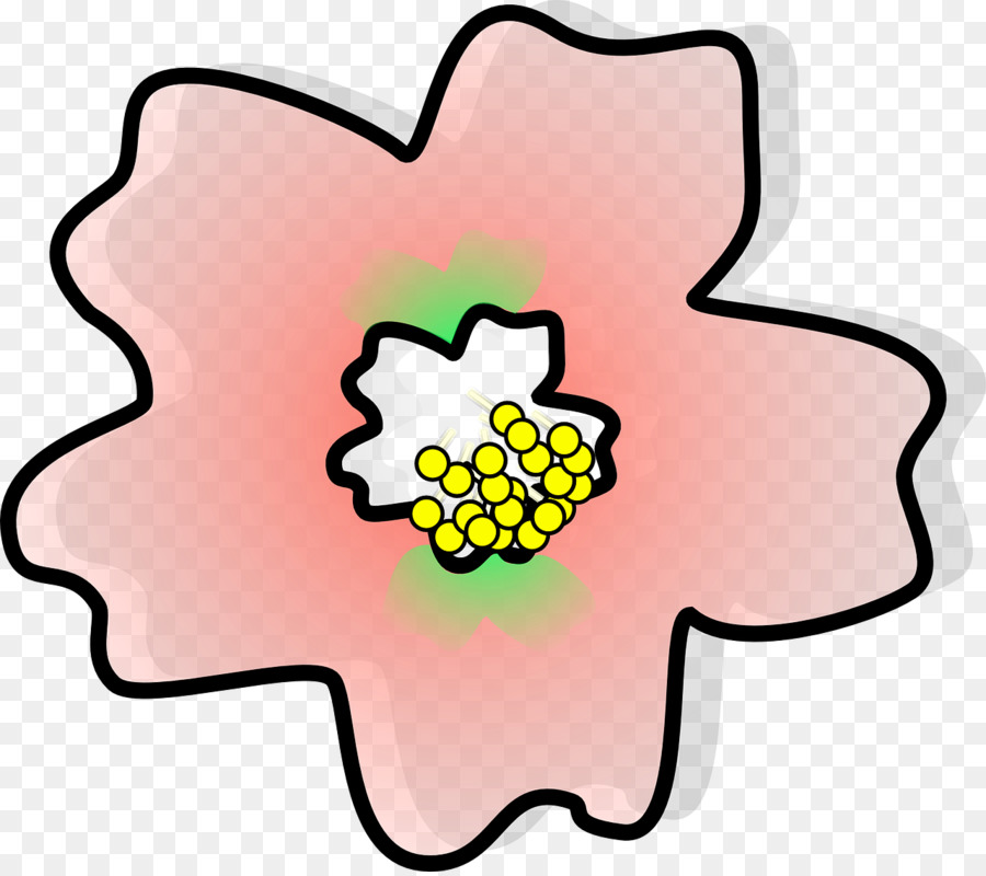 Bunga Sakura，Menggambar PNG