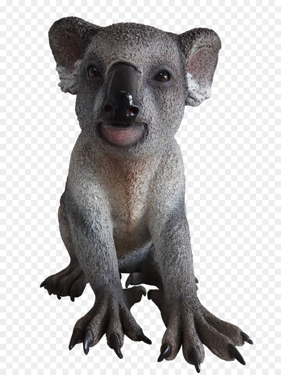 Koala，Hewan Berkantong PNG