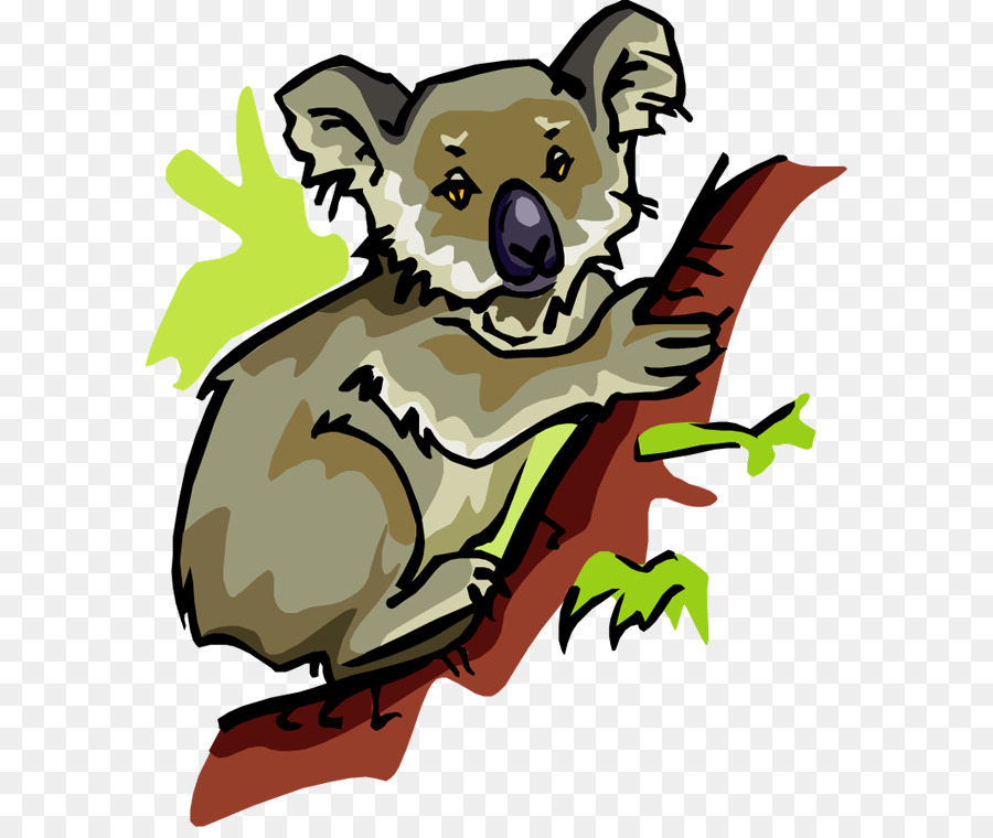 Koala，Hewan PNG