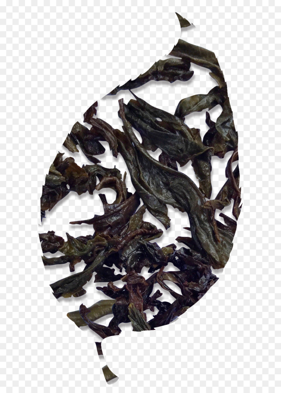 Daun Teh，Hijau PNG