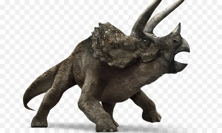 Triceratops，Velociraptor PNG