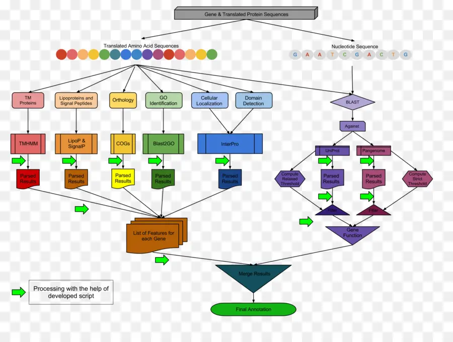 Flow Chart，Proses PNG