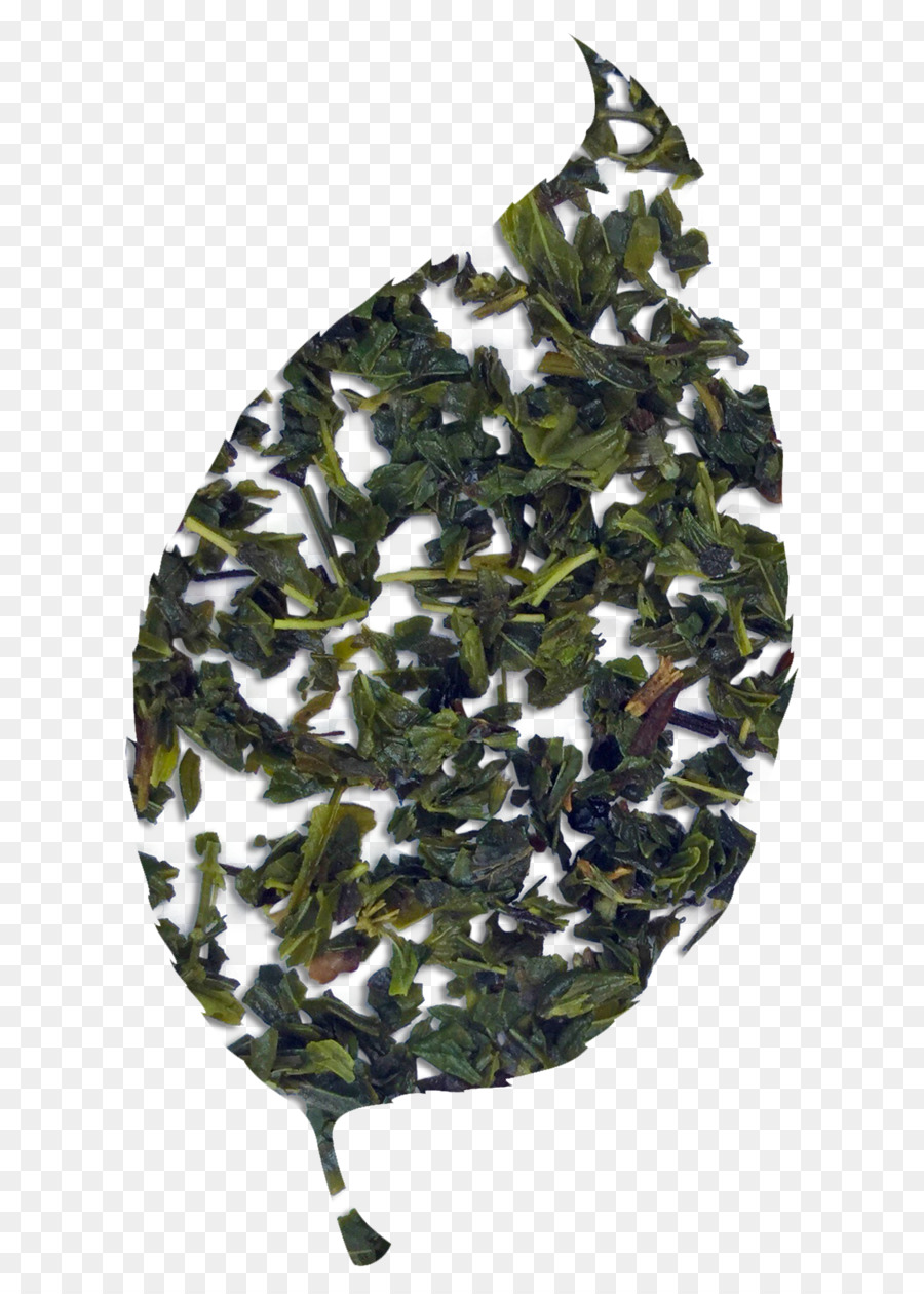 Daun Teh，Hijau PNG