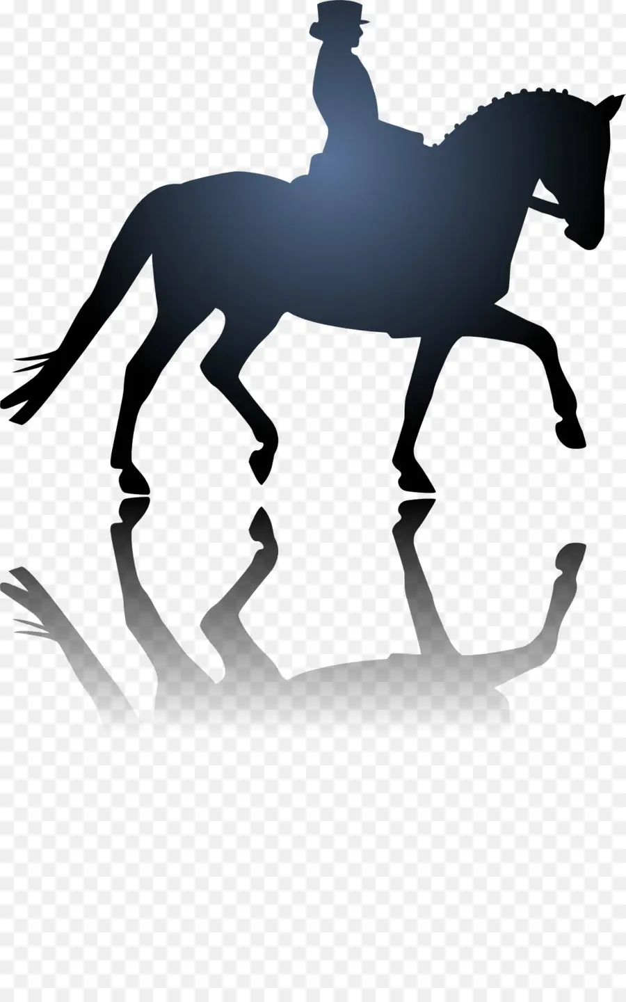 Berkuda，Kuda PNG