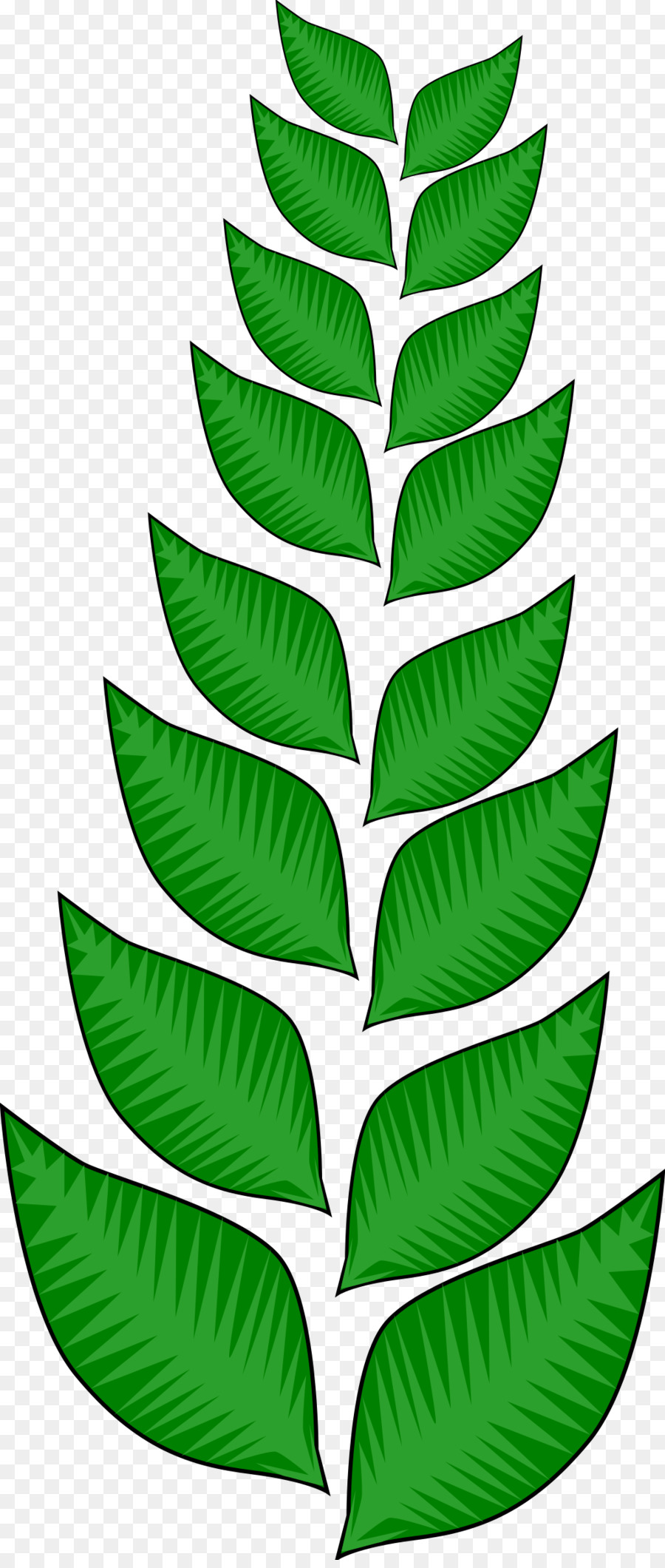 Daun，Gambar PNG