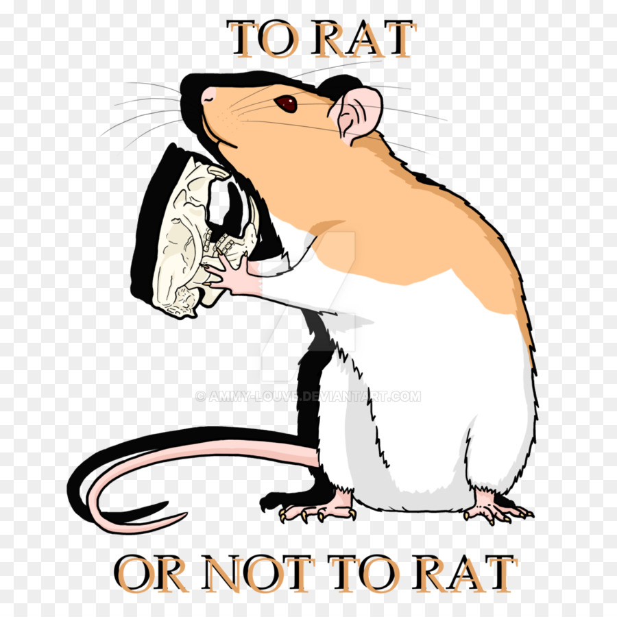 Hewan Pengerat，Tikus PNG