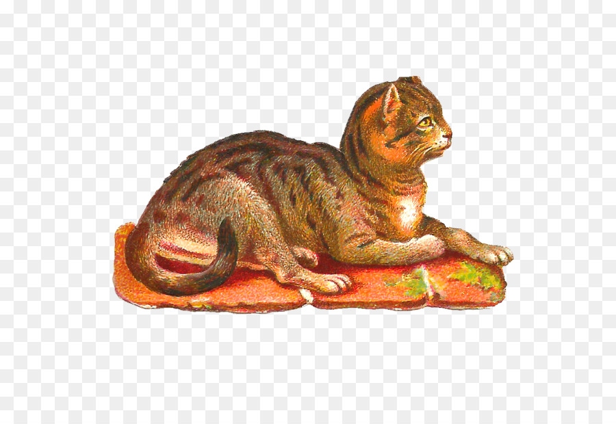 Kucing，Seni PNG