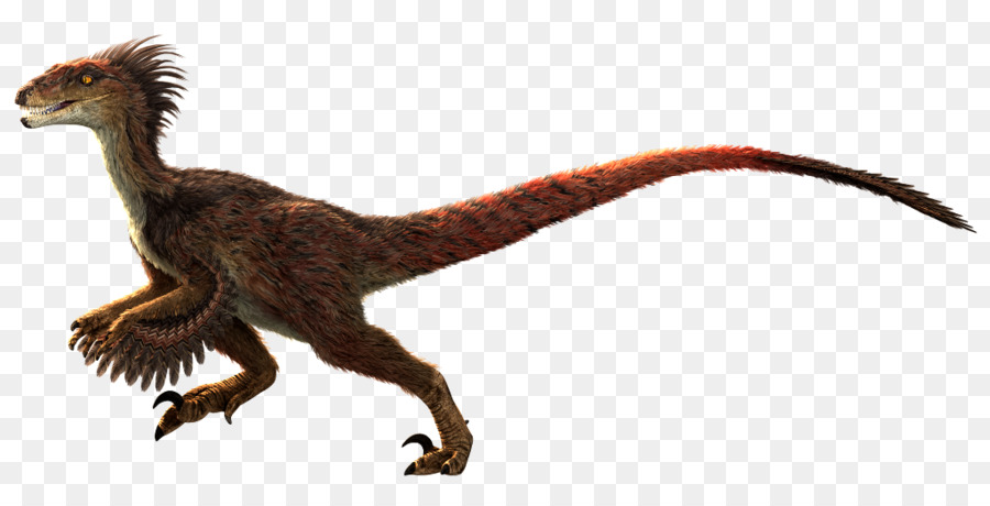 Dinosaurus，Prasejarah PNG