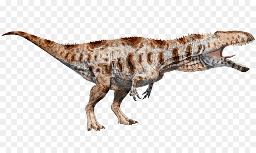 Dinosaurus，Prasejarah PNG