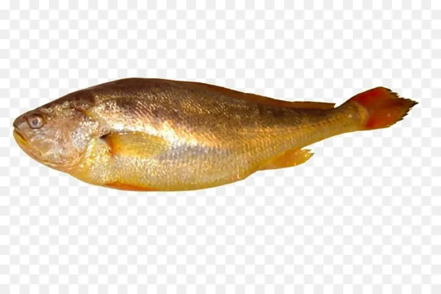 Ikan，Hidangan Laut PNG