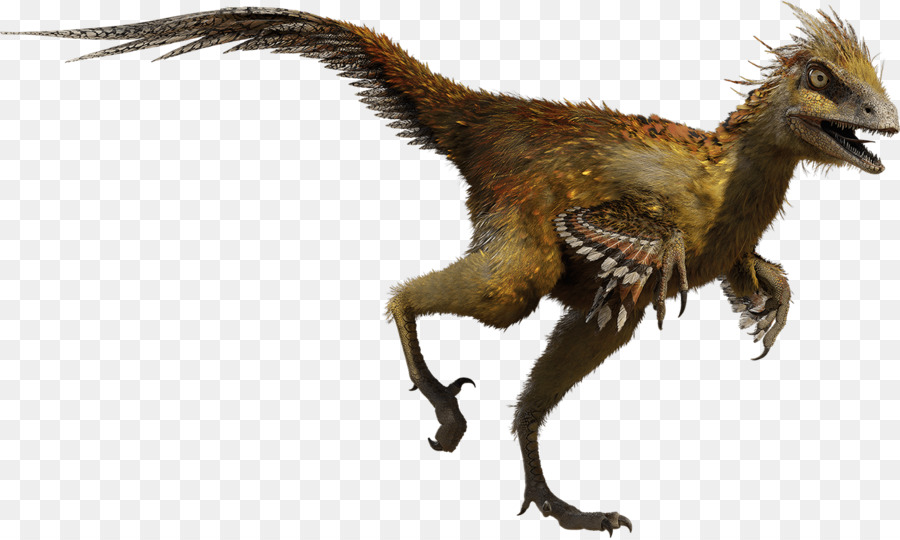 Hesperonychus Troodon Chirostenotes Gambar Png