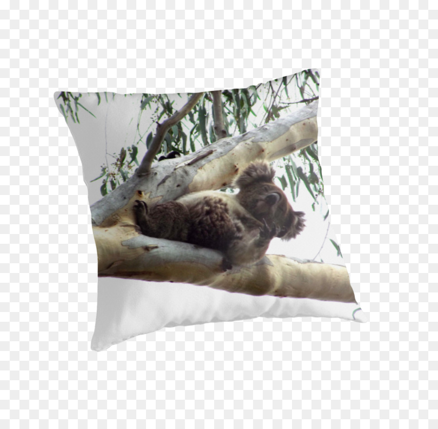 Koala，Lempar Bantal PNG