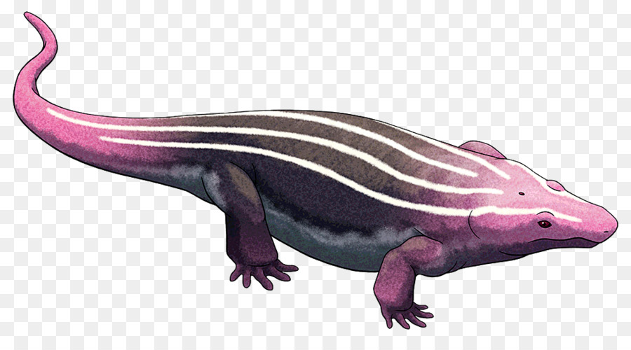 Lepospondyli，Temnospondyli PNG