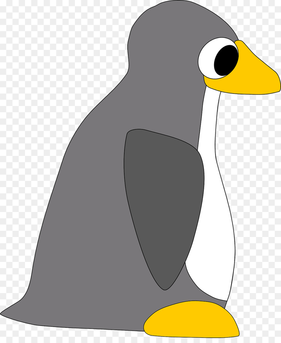 Penguin，Burung PNG