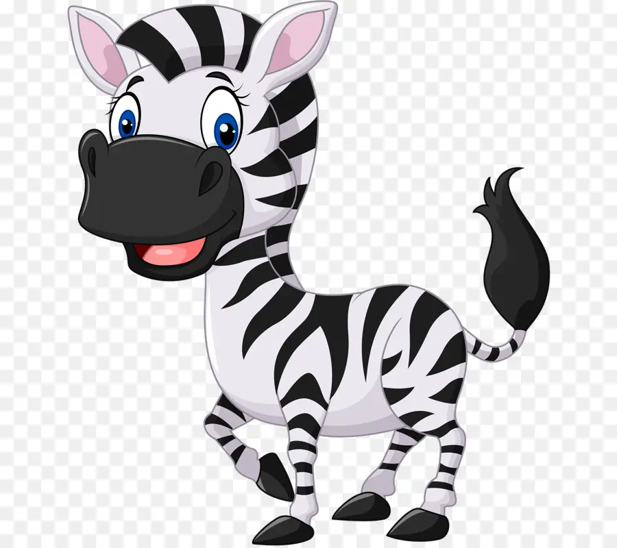 Zebra，Kartun PNG