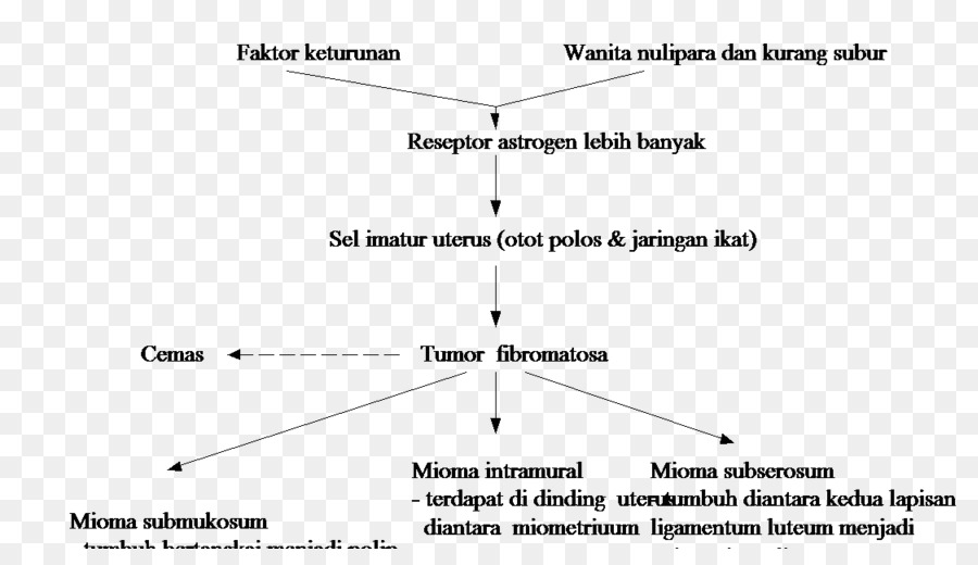 Flow Chart，Medis PNG