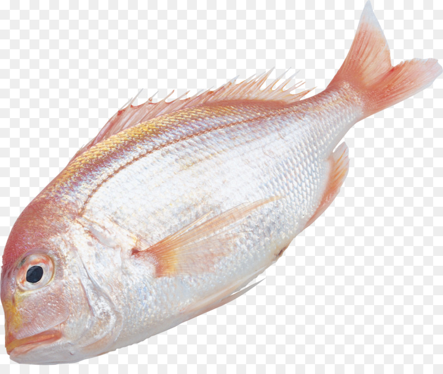 Ikan，Informasi PNG