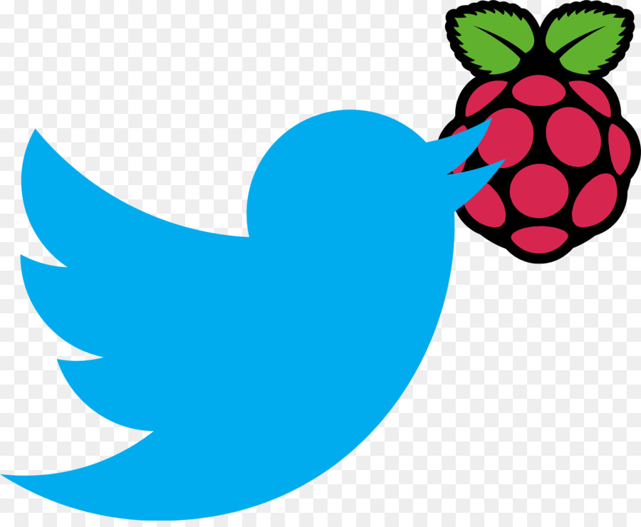 Raspberry Pi，Perangkat Lunak Komputer PNG