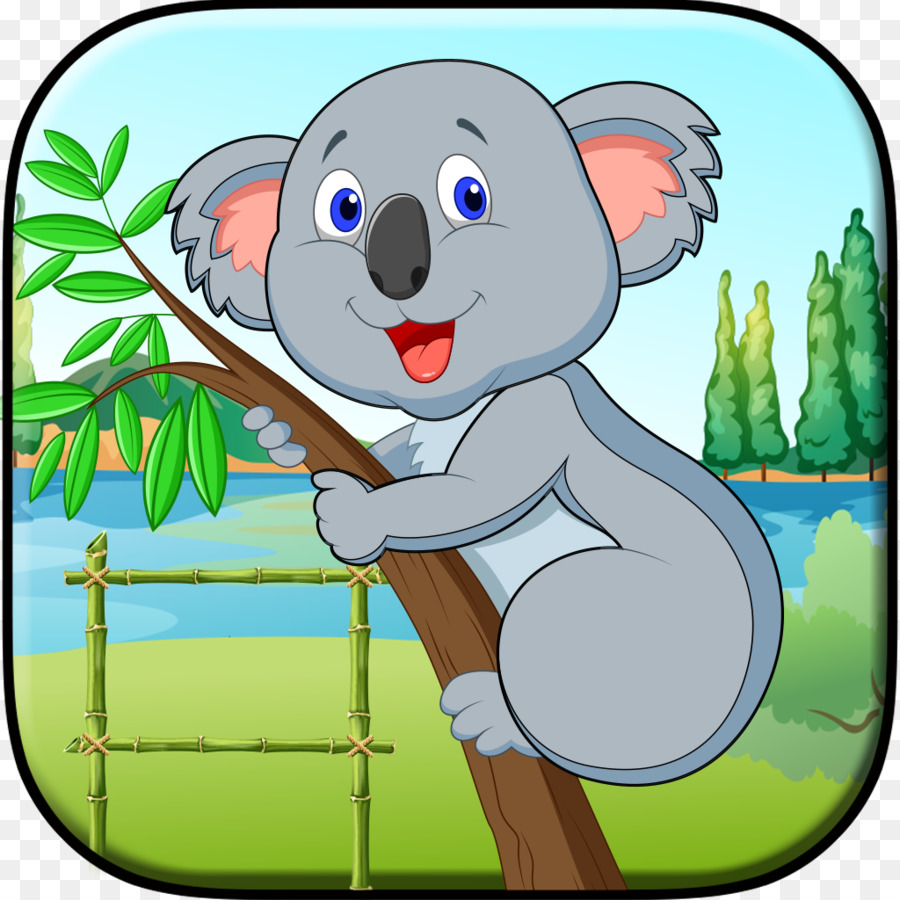 Koala，Bayi Koala PNG