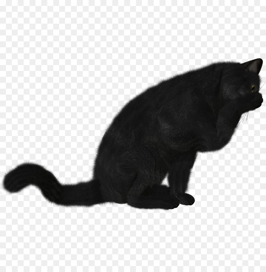 Kucing Hitam，Licik PNG