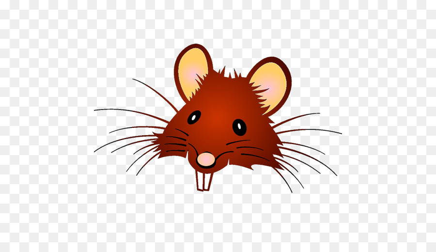 Tikus Abu Abu，Imut Imut PNG