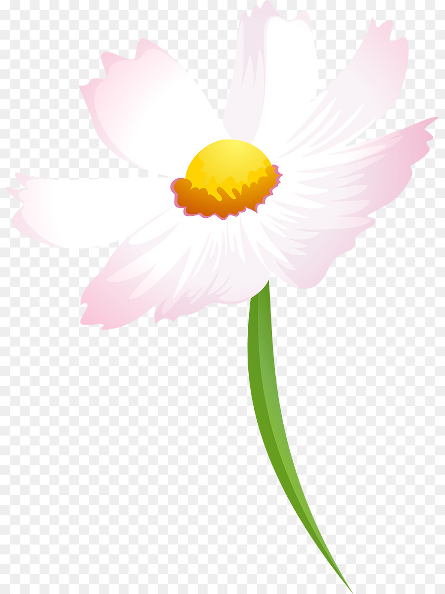 Paling Keren 20 Gambar  Bunga  Daisy  Wallpaper Gambar  