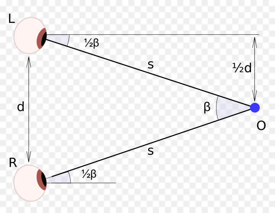 Diagram Mata，Penglihatan PNG