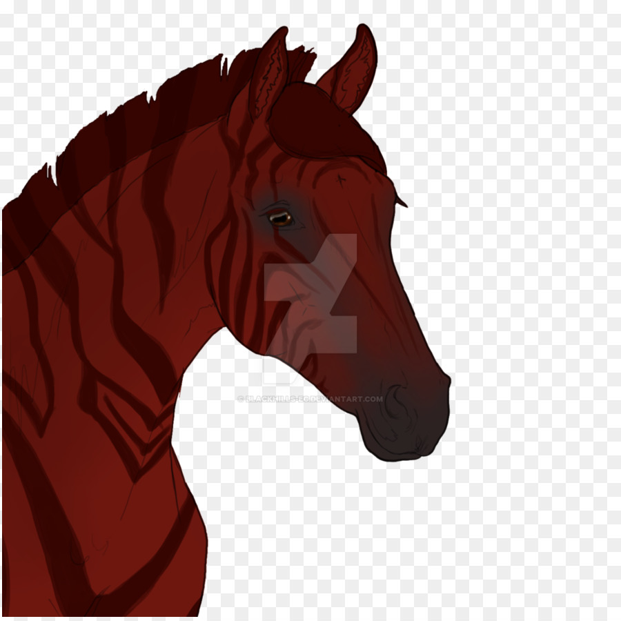 Pony，Mustang PNG