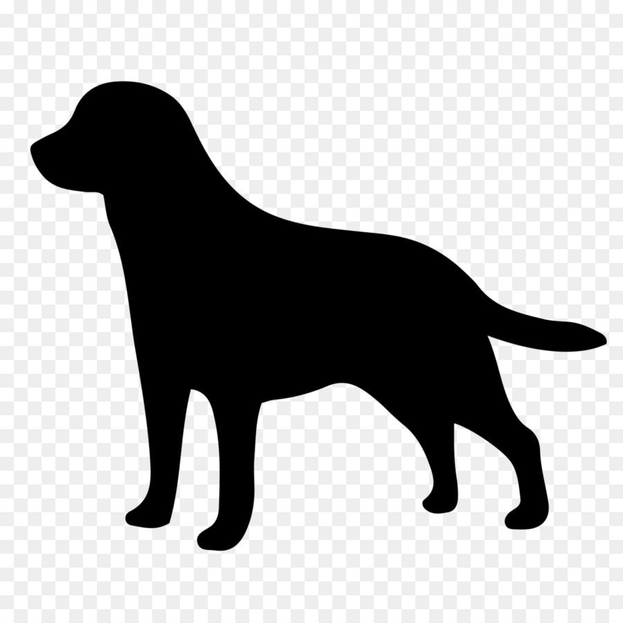 Labrador Retriever，Jenis Anjing Golden Retriever PNG
