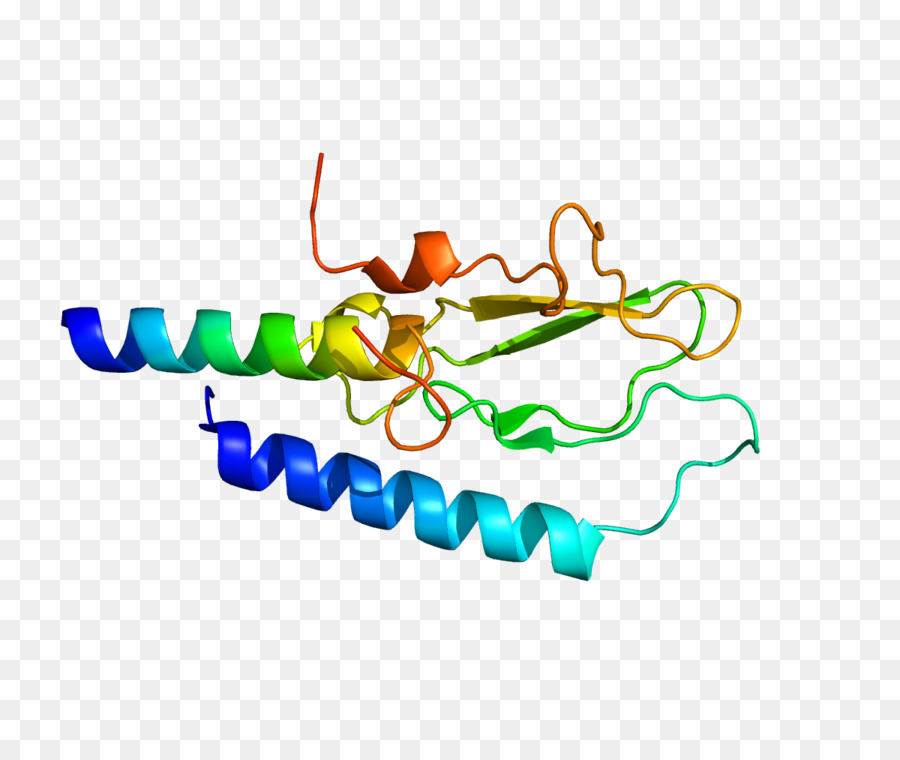 Peptida Seperti Glukagon1，Reseptor Peptida 1 Seperti Glukagon PNG