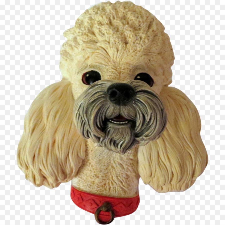 Pudel，Schnoodle PNG
