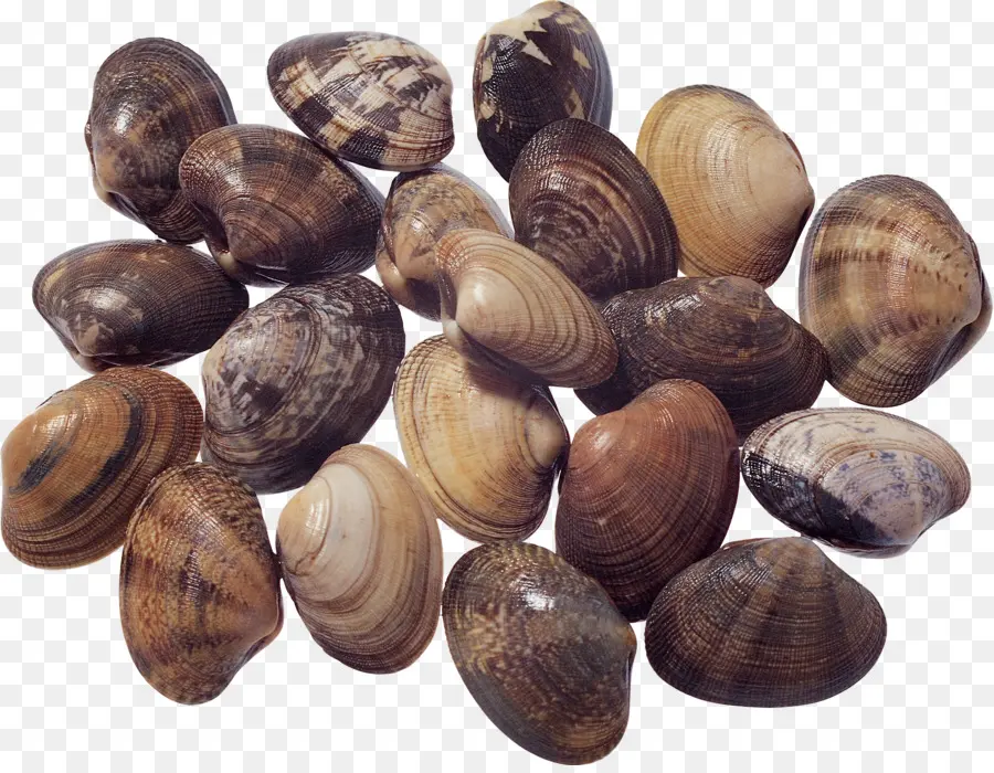 Kerang，Remis PNG