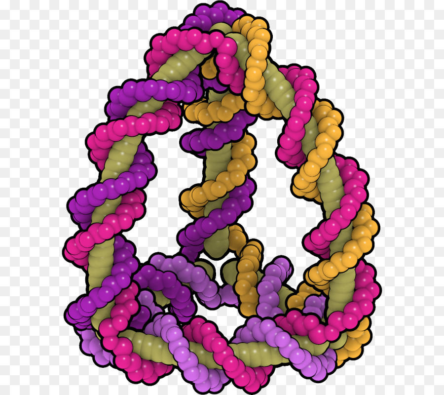 Dna Berwarna Warni，Genetika PNG