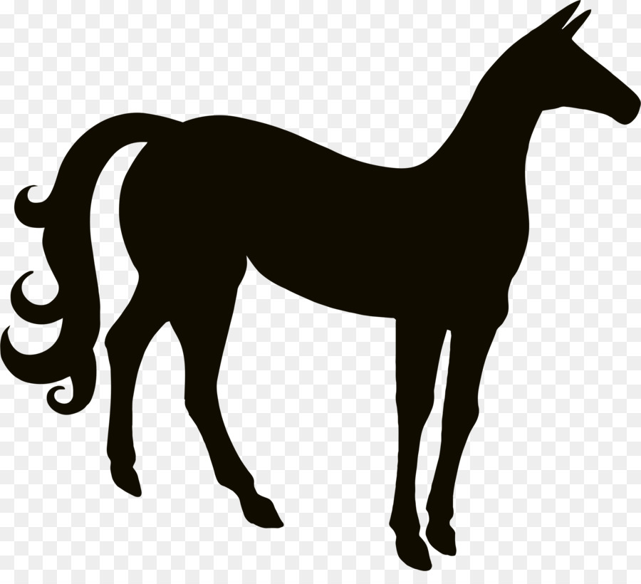 Kuda，Gambar PNG
