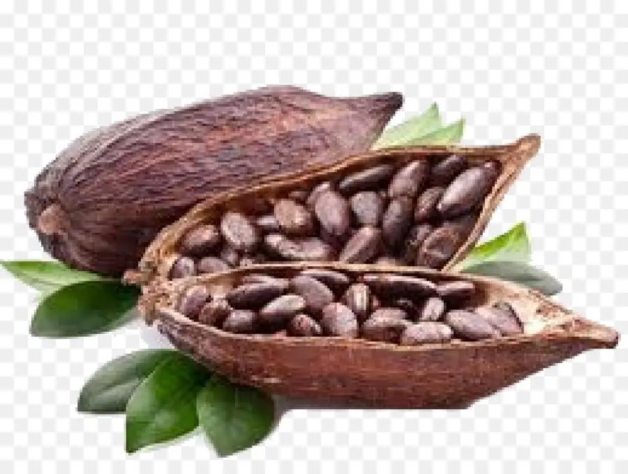 Biji Kakao，Cokelat PNG