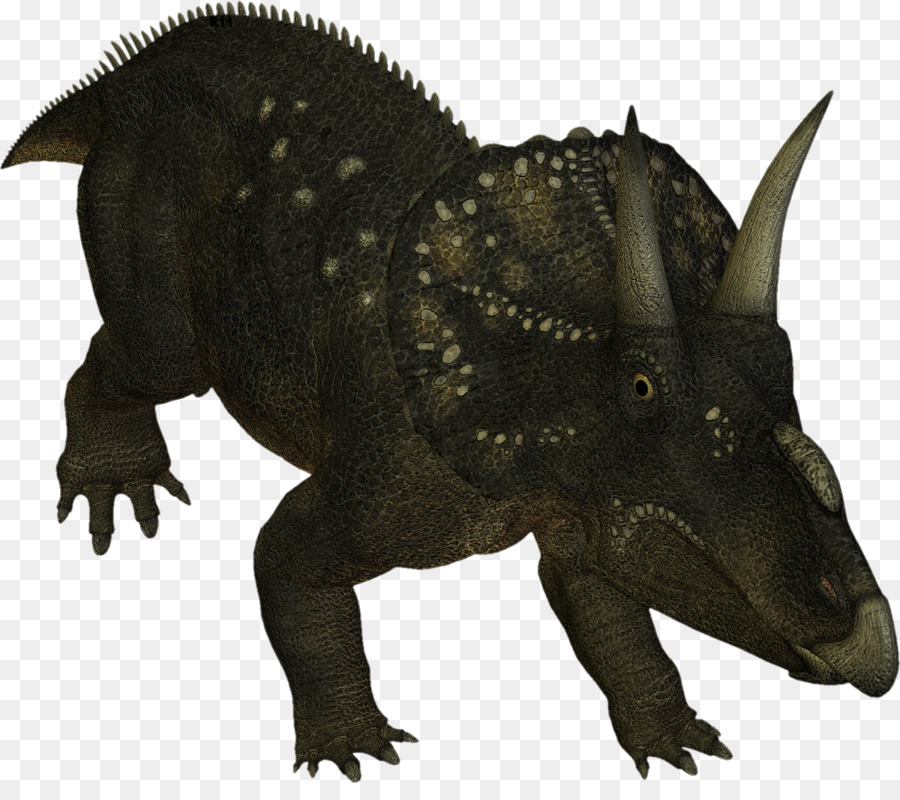 Triceratop，Prasejarah PNG