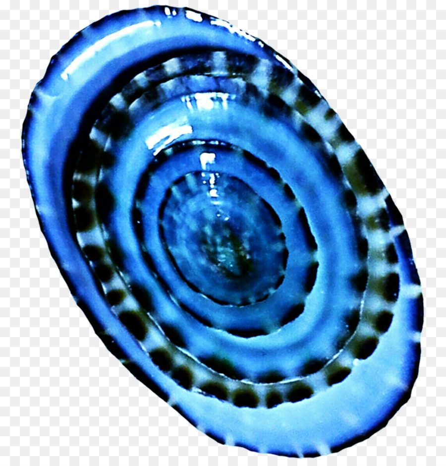 Seni，Limpet PNG