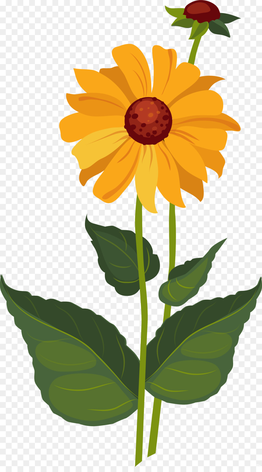 Gambar Bunga Matahari Vektor Png