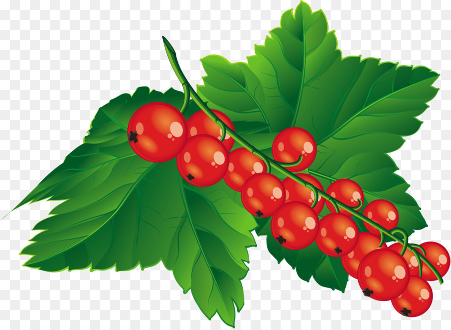 Berry Merah，Daun Daun PNG