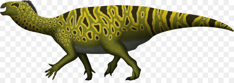 Iguanodon，Tyrannosaurus PNG