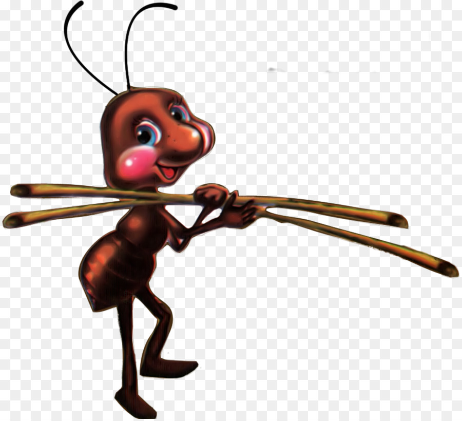 Gambar Serangga Semut
