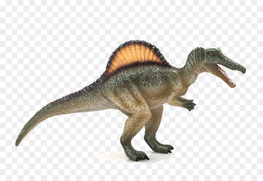 Spinosaurus，Tyrannosaurus PNG