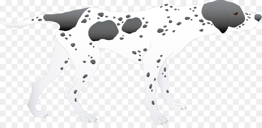 Anjing Dalmatian，Anjing PNG