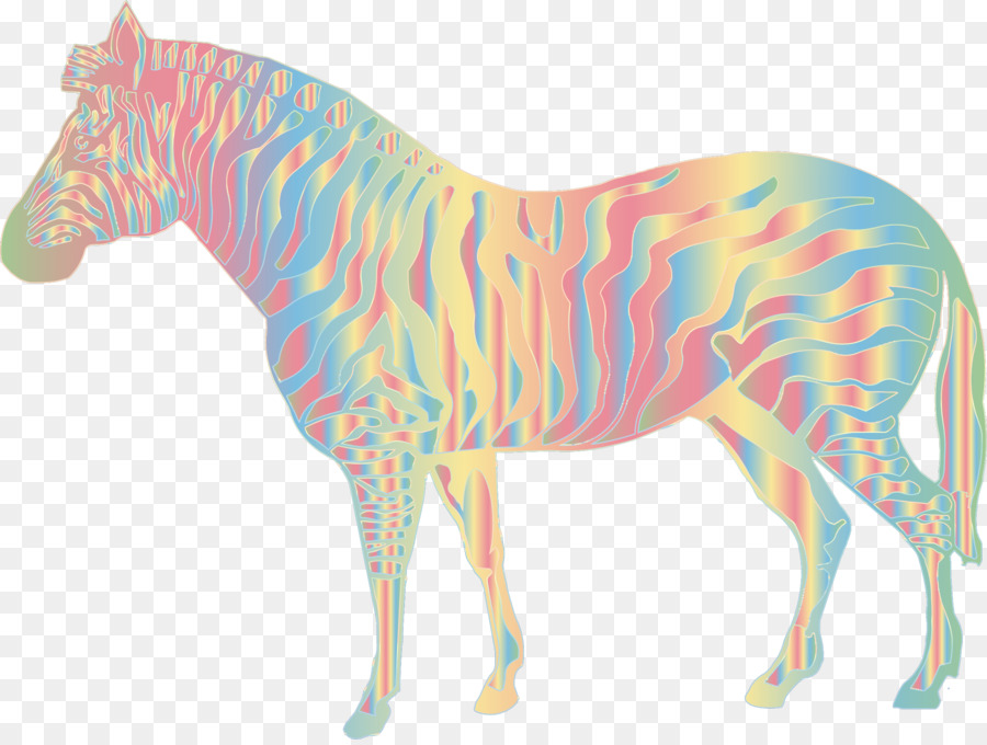 Kuda Zebra，Zebra PNG