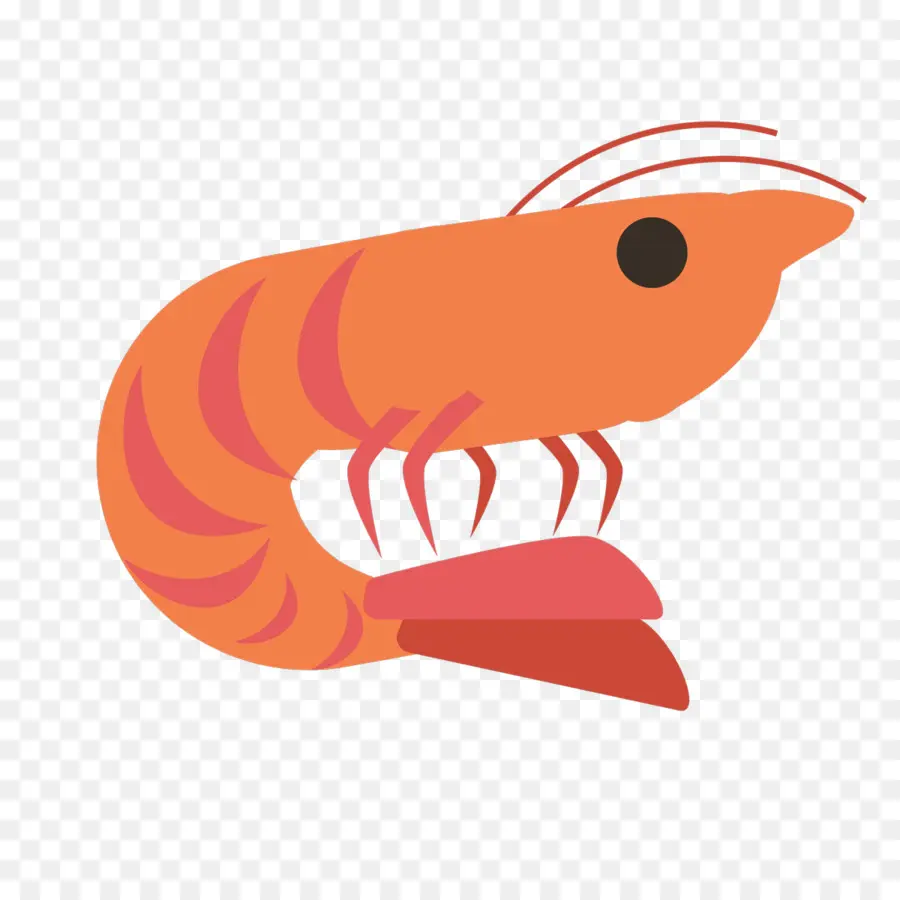 Udang，Krustasea PNG