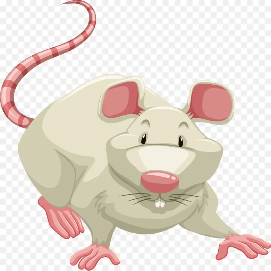 Tikus Lucu，Kartun PNG