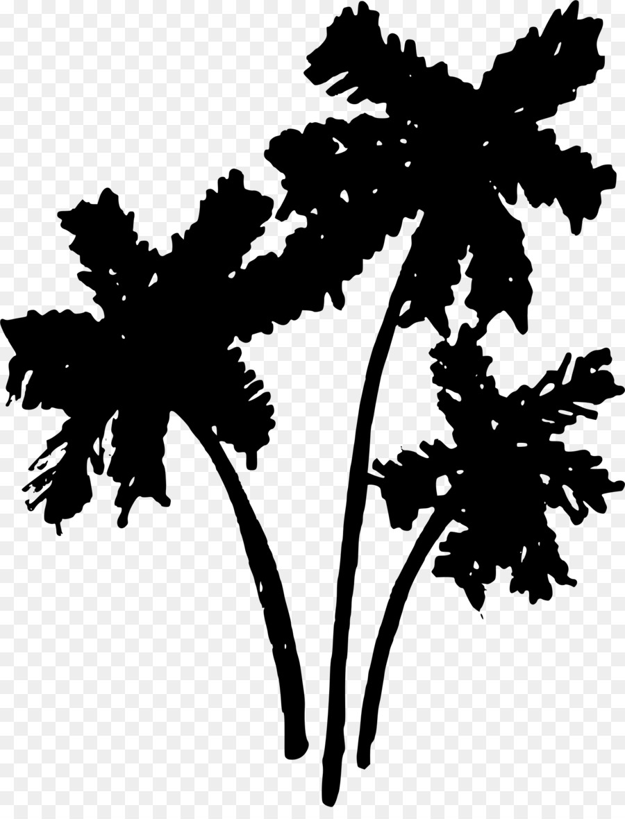 Pohon，Arecaceae PNG